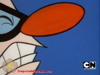 curiosidades