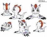 Gomamon