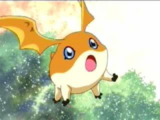 Patamon