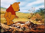 Winnie the Pooh