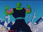 Piccolo