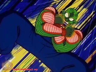 Piccolo Daimao