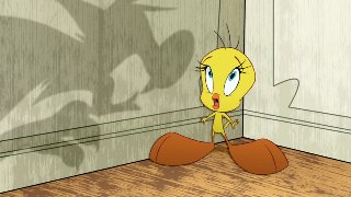 Tweety