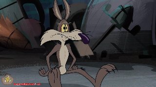 Wile E Coyote