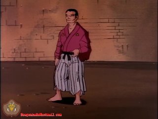 Splinter ninja turtles Splinter ninja turtles