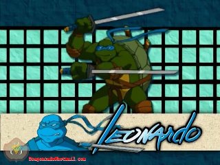 Leonardo