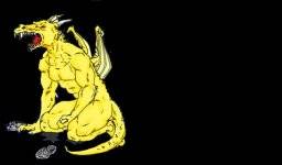 Header Picture 4