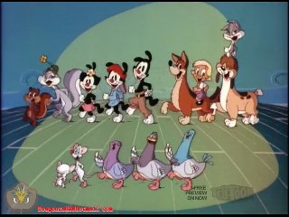 download new animaniacs download new animaniacs