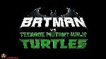 Batman vs Teenage Mutant Ninja Turtles