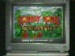 Donkey Kong Country