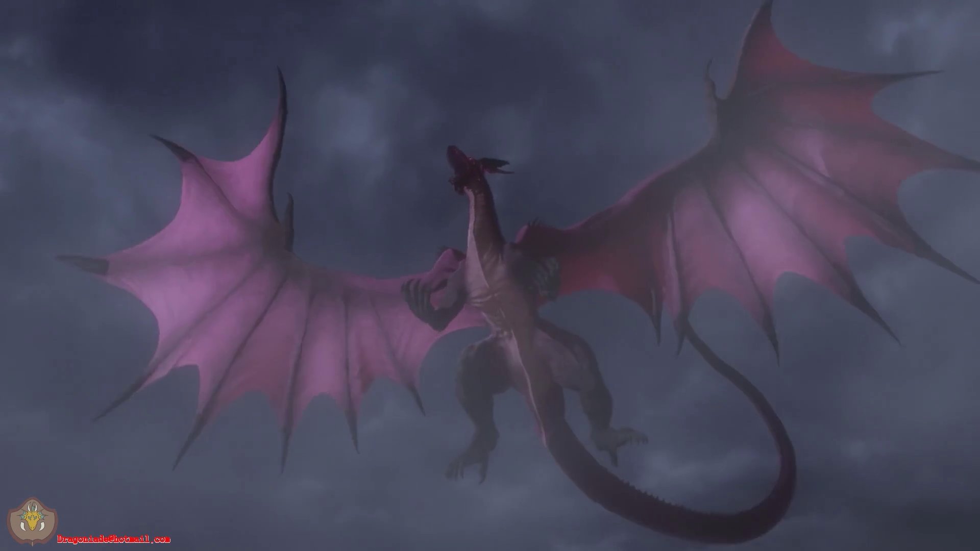 Руби Иллюзион драконы. Иллюзия дракон. Amazing Dragons.