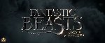 Fantastic Beasts and Where to Find Them