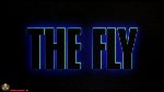 Fly, The