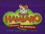 Hamtaro