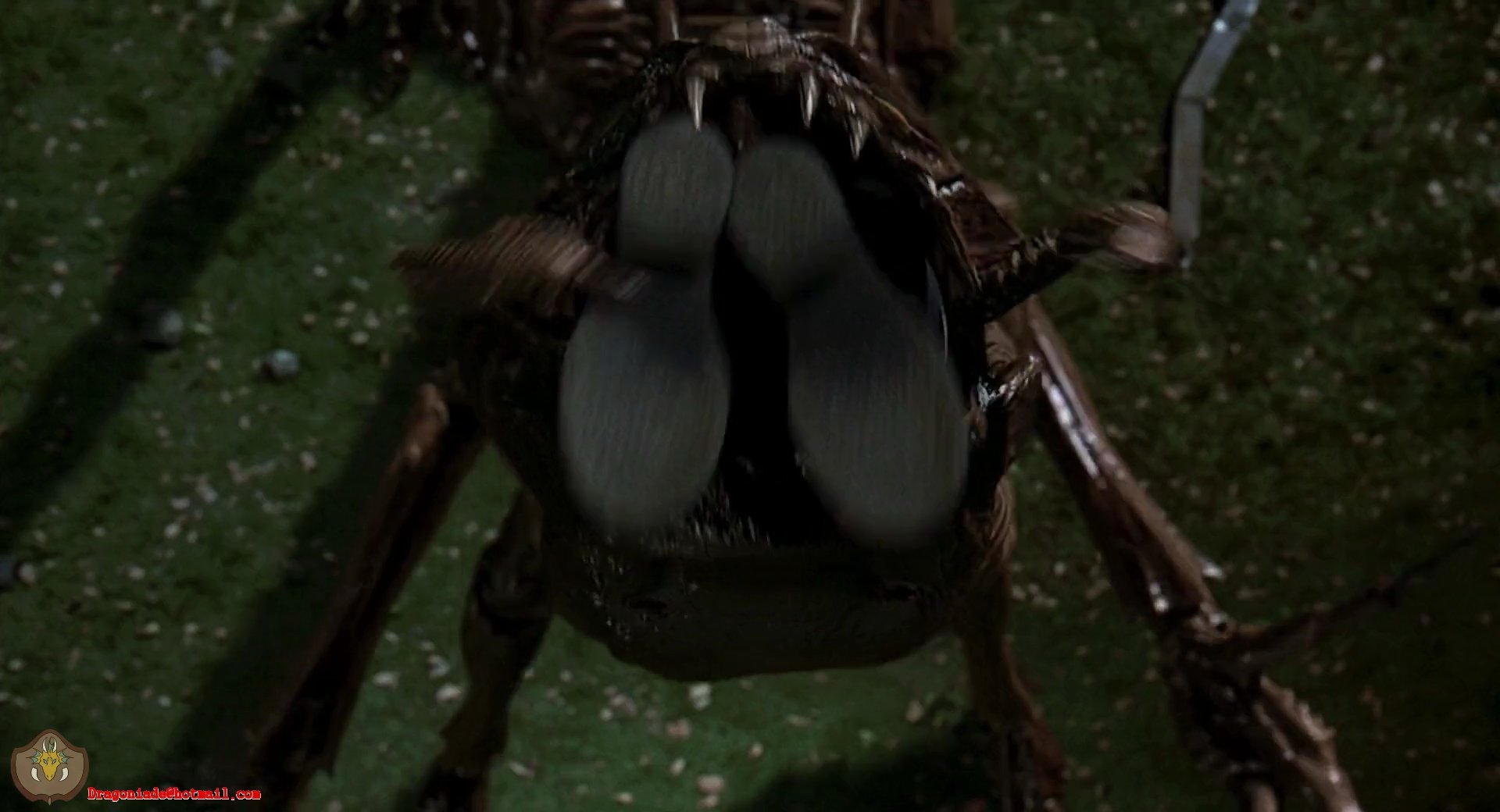 Swallow Vore