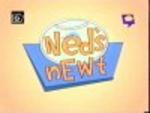 Ned's Newt