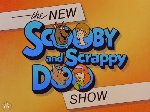 Scooby-Doo and Scrappy-Doo Show, The New