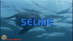 Selkie