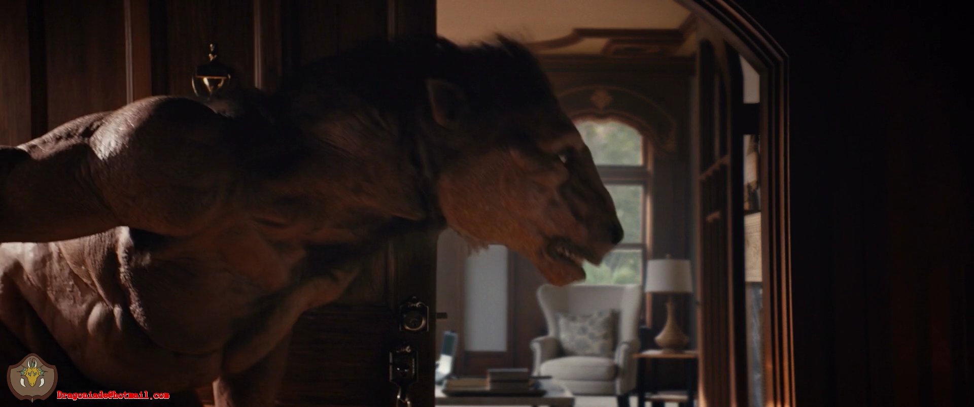 Sorry To Bother You Horse Sorry To Bother You Horse