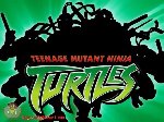 Teenage Mutant Ninja Turtles (2003)