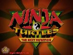 Teenage Mutant Ninja Turtles the Next Mutation