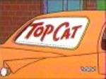 Top Cat