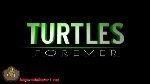 Turtles Forever