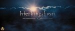 Twilight Saga, The: Breaking Dawn, Part 1