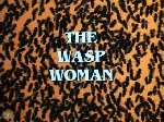 Wasp Woman (1995)