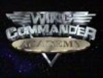 Wing Commander Academy