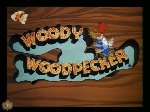 Woody Woodpecker Show